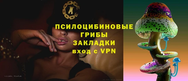 метадон Алексин